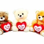 Urso Eu amo Você